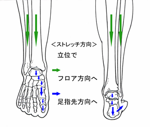 �b�o������
���O�ʁE�w�ʐ}