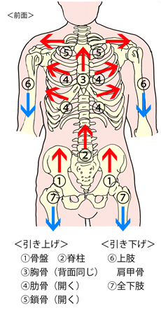 ���������}�i�O�ʁj