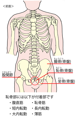 �t�����O�ʐ}