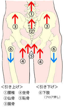 ���������}