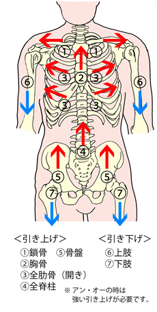 ���������}�i�O�ʁj
